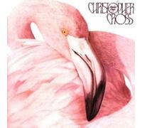 CHRISTOPHER CROSS - ANOTHER PAGE CD POP 10 TRACKS NEW