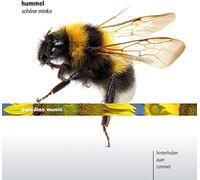 Christopher Hinterhuber| Walter Auer| Martin Rummel - Works by Johann Nepomuk Hummel