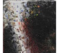 Christopher Tignor - Bleeding Past the Edges [VINYL]