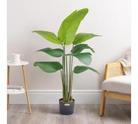 Christow Artificial Banana Tree (Bird of Paradise) In Pot, 4ft