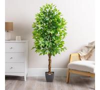 CHRISTOW Artificial Ficus Tree (Weeping Fig) In Pot, 5ft | Twisted Wooden Trunk, Lush Green Leaves, Weighted Pot, Indoor Decoration for Homes & Offices