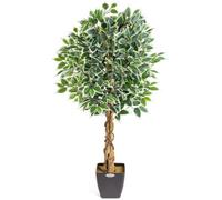 Christow Artificial Variegated Ficus Faux House Plant