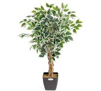 CHRISTOW Artificial Variegated Ficus Tree (Weeping Fig) In Pot, 3ft