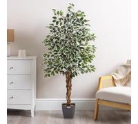Christow Artificial Variegated Ficus Tree (Weeping Fig) In Pot, 5ft | Twisted Wooden Trunk, Lush Green Leaves, Weighted Pot, Indoor Decoration for Homes & Offices