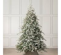 Christow Snow Flocked Christmas Tree Luxury Artificial Verbier Fir 6ft 7ft 8ft in Green Christow Green 8ft