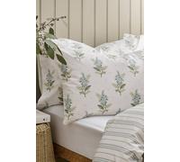 CHRISTY 'Blossom' Floral Striped Reversible Cotton Standard Pillowcase Pair in White Christy White