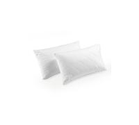 CHRISTY Classic Filled Microfibre Pillow Protector Pair in White Christy White