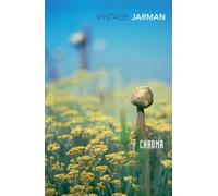 Chroma : A Book of Colour - June '93