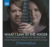 ChromaDuo What I Saw in the Water: 21st-century Works for Guita (CD) (US IMPORT)