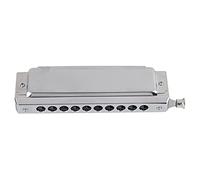 Chromatic Harmonica, 10 Hole 40 Tone Double Sided Polyphonic Playing Mouth Organ with Storage Box for Professionals Beginners (Silver)