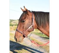Chrome leather horse halter Ronzon Legend