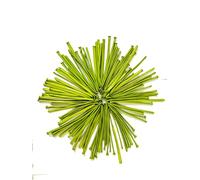 Chrome Long Metallic 260q Modelling Balloons Light-Green Long Twisting Animal Making Clown Magic Balloons for Clown Birthday Decoration 30 pcs