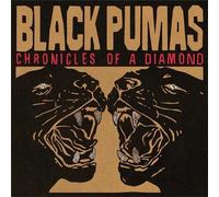 Black Pumas - Chronicles of a Diamond