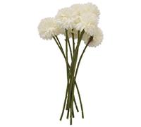 Chrysanthemum Ball Flowers Bouquet 10Pcs Present for Important People Glorious Moral(White)