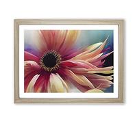 Chrysanthemum Watercolour Flower Vol.5 Framed Print | A4 Oak Framed Wall Art | Ready to Hang | Modern Floral Picture | Living Room Bedroom Lounge Office