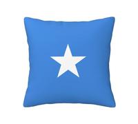 Chrysm Square Somali Flag Pillowcase,Throw Pillow Cover for Sofas -Decoration-for Waist Support 12,16,18,20 Inch, CM2-BZT11131