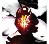 CHRYSTABELL & DAVID LYNCH - CELLOPHANE MEMORIES (CLEAR VINYL) [VINYL]