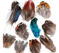 CHSG 50 Pcs 10 Mixed Styles Natural Pheasant Feathers, Natural Pheasant Feathers Hat Feathers, 1.57-3.94Inch, for Crafting DIY Home Party Parade Accessories, for Kindergarten Handmade Ornaments.