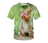 CHSLO Mens 3D Print t-shirts Summer Cute Squirrel Animal Unisex 3D Digital Printed T-Shirt Men'S Round Neck Short-Sleeved Loose Elastic Quick-Drying Half-Sleeved Bottoming Shirt