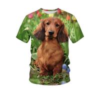 CHSLO Mens 3D Print t-shirts Summer Dog Animal Unisex 3D Digital Print T-Shirt Round Neck Men'S Short Sleeve Loose Stretch Half Sleeve Pug Oversize Top