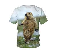 CHSLO Mens 3D Print t-shirts Summer Elephant Squirrel Dog Unisex 3D Digital Printed T-Shirt Round Neck Men'S Short-Sleeved Loose Fitness Stretch Breathable Sports Top Oversize