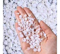 Chsoejuf 100PCS Nail Charms Flat Back Resin for Summer Beach Art Decor | White AS Resin Aurora Pearl Holographic Shells Starfish Conch Mermaid Tail Ocean Theme Nail Gems DIY Acrylic for Manicure