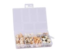 Chstarina 100pcs Sea Shells Mixed Beach Seashells, Mixed Undrilled Shells, Natural Conch Sea Shells with Storage Box, Small Conch Shell Decor for DIY Crafts, Party, Jewellery, Vase Fillers, Fish Tanks