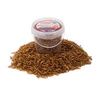 Chubby Mealworms 1 Litre Chubby Dried Mealworms