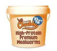Chubby Mealworms (10 Litre), Dried Mealworms For Wild Birds, Protein Rich Dried Meal Worm High Energy for WildBirds, Reptiles, Gecko