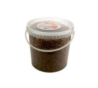 Chubby Mealworms 10 Litres Chubby Dried Mealworms