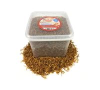 Chubby Mealworms (10 Litres), Dried Mealworms For Wild Birds, Protein Rich Meal Worms, High Energy for Birds, Reptiles, Gecko, (approx 1.85kg)
