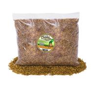 Chubby Mealworms 12.55Kg Chubby Dried Black Soldier Fly Larvae