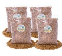 Chubby Mealworms 20Kg Chubby Dried Black Soldier Fly Larvae