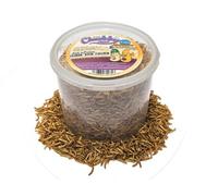 Chubby Mealworms 3 Litre Chubby Dried Mixes Mealworms & Black Soldier Fly Larvae