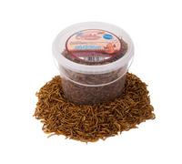 Chubby Mealworms 3 Litres Chubby Dried Mealworms