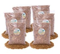 Chubby Mealworms 30Kg Dried Chubby Black Soldier Fly Larvae