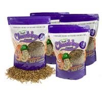 Chubby Mealworms 4Kg Dried Chubby Mixes Mealworms & Black Soldier Fly Larvae