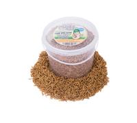 Chubby Mealworms 5 Litre Chubby Dried Black Soldier Fly Larvae