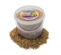 Chubby Mealworms 5 Litre Dried Chubby Mixes Mealworms & Black Soldier Fly Larvae