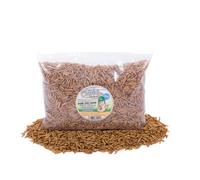 Chubby Mealworms 500G Chubby Dried Black Soldier Fly Larvae