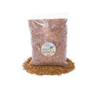 Chubby Mealworms 5Kg Chubby Dried Black Soldier Fly Larvae
