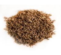 Chubby Mealworms 5Kg Freeze Dried Bloodworm Fish Food