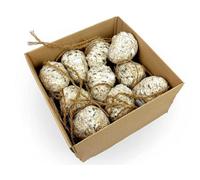 Chubby Pet Products 10 X Chubby Seed & Suet Pine Cones Hanging Wild Bird Food