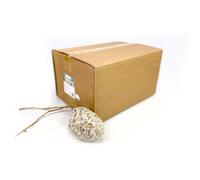 Chubby Pet Products 6 X Chubby Suet And Seed Filled Pine Cone Hanging Wild Bird Food