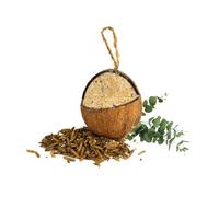 Chubby Quarter Cut Filled Coconut, Coconuts Halve Wild Bird Feed with Insect oil, Coconut Shell Suet Birds Food, Protein Rich Suet for Blackbirds, Woodpeckers, Starlings & Sparrows
