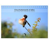 Chuchotements d'ailes - Une année dans l'intimité des oiseaux (Calendrier de bureau 2026 DIN A5 vertical), CALVENDO calendrier mensuel: Un calendrier ... la splendeur de leurs instants suspendus.