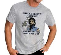 Chuck Norris De Prévisions Fun Arts Martiaux Karaté T-Shirt Gris Cadeau Idéal Gray L