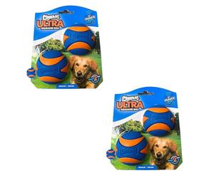 Chuckit! Ultra Squeaker Ball Size M - Diameter 6 cm | Double Pack | 2 x 2 Pieces | Long Life Rubber, High Bounce and High Squeaker | Easy to Clean | Floats on Water