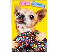 Chuck's Card-O-Rama - Funny Chihuahua Birthday Card - Made in Chicago - Opens to 10" X 7.75" - Premium Envelope Included & Shipped in Extra Sturdy Mailer - Bark First, Ask Questions Later - 94394