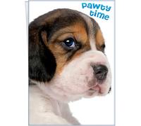 Chuck's Card-O-Rama - Funny Puppy Birthday Card - Made in Chicago - Opens to 10" X 7.75" - Premium Envelope Included & Shipped in Extra Sturdy Mailer - Bark First, Ask Questions Later - 94368